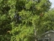 6845 N 4412 Strang, OK 74367 - Image 16433978