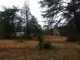 634 Bluff Rd Gray Court, SC 29645 - Image 16447809