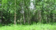 1861 W Lake Lucille Drive Wasilla, AK 99654 - Image 16468706
