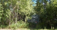 13101 Back Road Anchorage, AK 99515 - Image 16473279