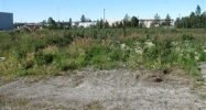 L3A B Street Anchorage, AK 99518 - Image 16489553
