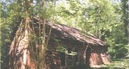 32 Tishtontee Dr Mantachie, MS 38855 - Image 16526712