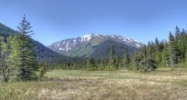 L4 Flyfishing Lane Girdwood, AK 99587 - Image 16531457