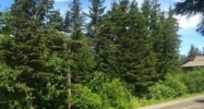 L11 B28 Echo Ridge Drive Girdwood, AK 99587 - Image 16531458