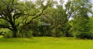 000 SYLVEST RD Franklinton, LA 70438 - Image 16537462