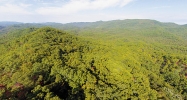 Tract 1 E Millers Cove Rd Walland, TN 37886 - Image 16538018