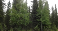 L3 B2 Ciechanski Road Kenai, AK 99611 - Image 16544531