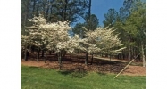 462 Rocky Ridge Drive Douglasville, GA 30134 - Image 16550255