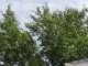 516 Sw 5th St Topeka, KS 66603 - Image 16561543