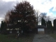 8039 Capri Cir Clay, NY 13041 - Image 16577828