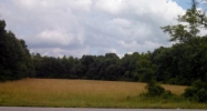 0 Gainesboro Highway Bloomington Springs, TN 38545 - Image 16618006