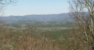 84 Cliff Fern Point Jasper, GA 30143 - Image 16648357