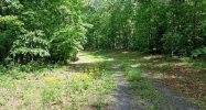 9320 Blackwell Creek Way Jasper, GA 30143 - Image 16663063