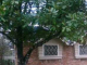 5903 Clarewood Dr Houston, TX 77081 - Image 17085618