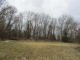 NA PARCEL 2 PINEWOOD Milford, MI 48381 - Image 17098543