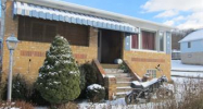 141  Fitzgerald St Leechburg, PA 15656 - Image 17175345