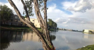 7538 ASHMONT CR # 205 Fort Lauderdale, FL 33321 - Image 17267625