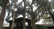 9161 Ne 310th Ave Fort Mc Coy, FL 32134 - Image 17284133