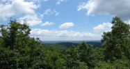 418 Mcelroy Mountain Dr Jasper, GA 30143 - Image 17327159