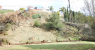 454 Ballena Dr Diamond Bar, CA 91765 - Image 17338159