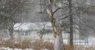 457 Crommie Rd Cobleskill, NY 12043 - Image 17355278