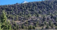Lot 40 Weed, CA 96094 - Image 17365540