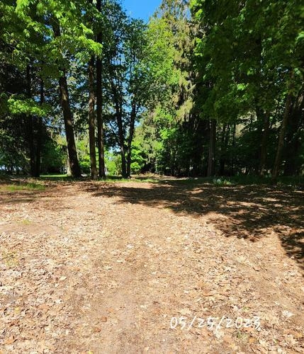 3321 SCENIC DRIVE - Image 17366132
