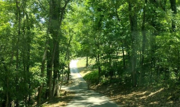 0 COUNTY ROAD 551 - Image 17367161