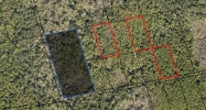 Lot 1 N of Pineneedle Mims, FL 32754 - Image 17367274