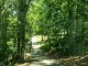 0 COUNTY ROAD 551 Poplar Bluff, MO 63901 - Image 17372371