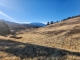 Lot 151 Sugarpine Hornbrook, CA 96044 - Image 17407279