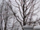 204 Maple St Bigfork, MN 56628 - Image 17496346