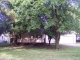 113 N Forrest St Douglass, KS 67039 - Image 17511929