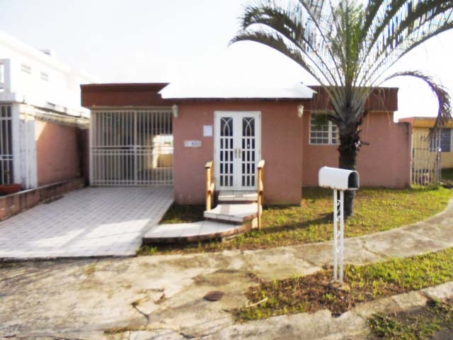 V-830 Cana De Ambar - Image 17527873