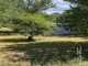 220 HOBBY FARMS RD Clinton, MS 39056 - Image 17544259