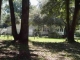 7461 CHURCH HILL RD Hollywood, SC 29449 - Image 17572707