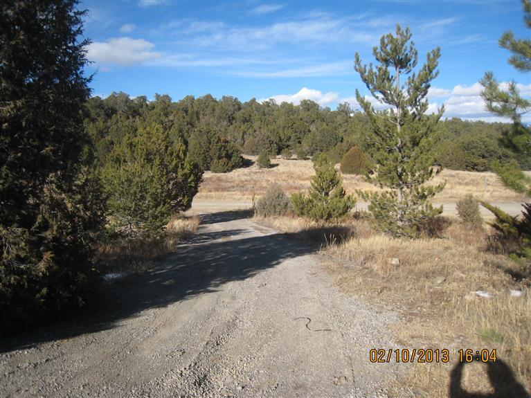 41 Whispering Pines Rd
