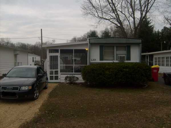 L77 Golden Avenue