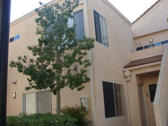 24420 Flaxwood Lane Unit 103