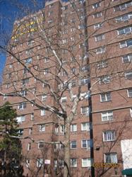 175 Willoughby St Unit 2f