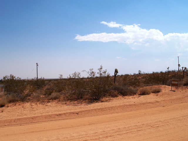 Covelo Avenue