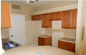 5378 Palomino Ranc