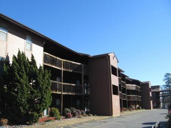 8530 Tidewater Dr #303