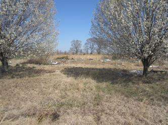 Lot 16 Countrys