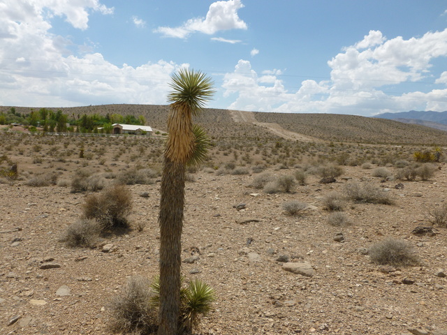 Cote and Blue Diamond raw land