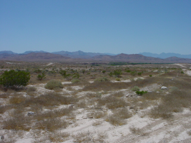 VirginRiver
