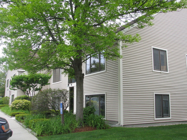 82 Palomino Lane Unit 503