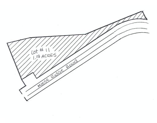 LOT # 11 Moose Ridge Road