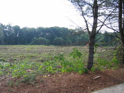 43.5 Crystal Ave lot #2 Derry NH L023