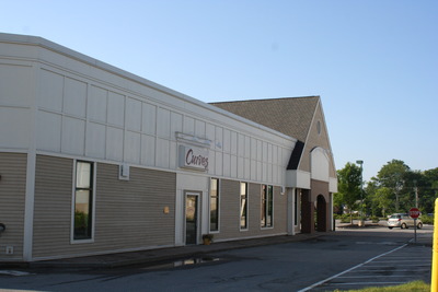 250 U.S. 1